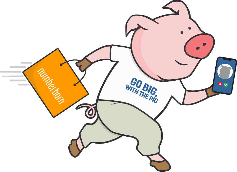 Pig running with phone